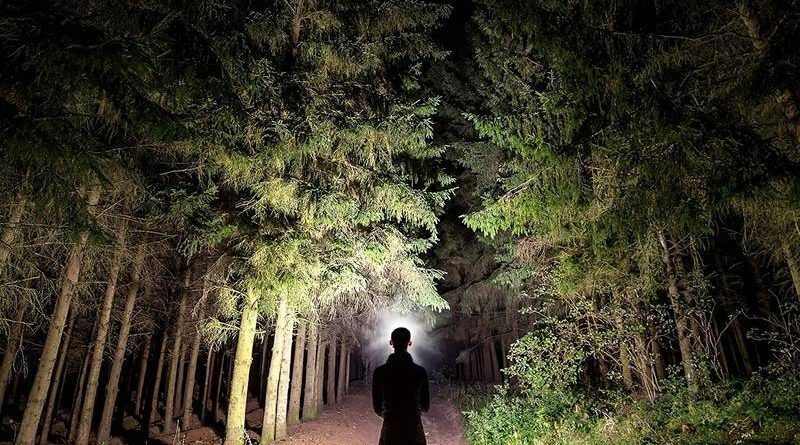 Ilumina tu Camino: Descubre las Linternas Frontales Potentes