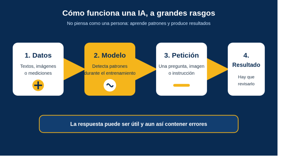 Esquema de datos, modelo, petición y resultado revisado por una persona